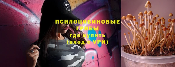 mix Богородицк