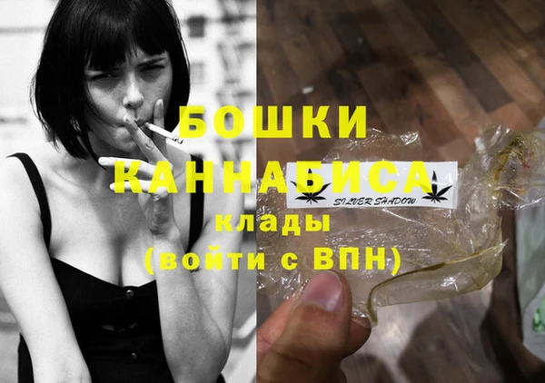 mix Богородицк
