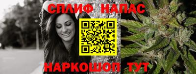 дживик Донской