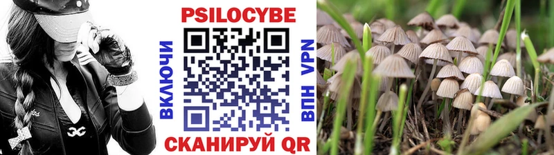 Псилоцибиновые грибы Psilocybe  нарко площадка состав  Обь 