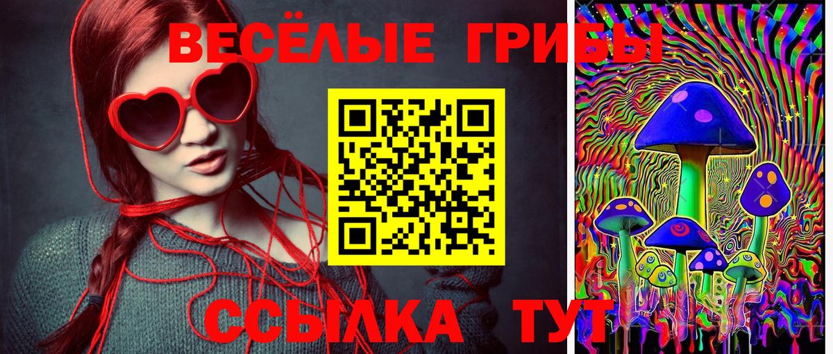Псилоцибиновые грибы ЛСД  Галлюциногенные грибы Psilocybe  Вход с VPN  Обь 